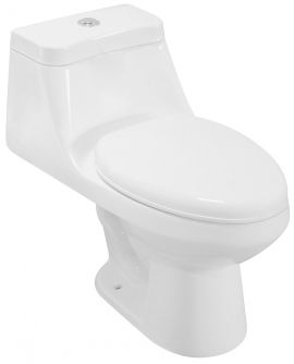 One Piece Oval Toilet with Soft Closing Seat and Dual Flush Height 26"