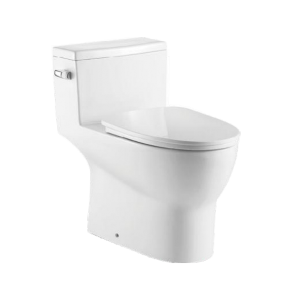 Ratel Online Store OnePiece Oval Toilet with Soft Closing Seat and