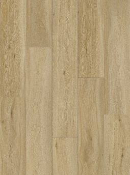 Monaco Maple
