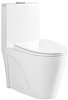 One Piece Oval Toilet with Soft Closing Seat and Dual Flush Height 30 9/10"