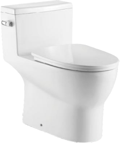 One-Piece Oval Toilet with Soft Closing Seat and Dual Flush Height 28" Side Button