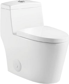 One-Piece Oval Toilet with Soft Closing Seat and Dual Flush Height 26 7/16"