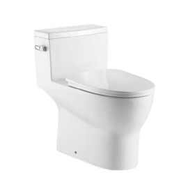 One-Piece Oval Toilet with Soft Closing Seat and Dual Flush Height 28" Side Button