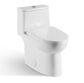 One-Piece Oval Toilet with Soft Closing Seat and Dual Flush Height 27 9/16" Top Button