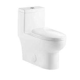 One-Piece Oval Toilet with Soft Closing Seat and Dual Flush Height 28"