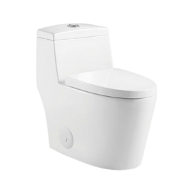 One-Piece Oval Toilet with Soft Closing Seat and Dual Flush Height 26 7/16"